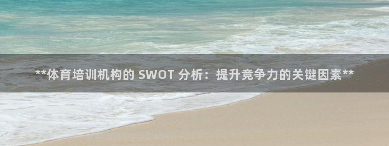 欧陆娱乐注册代理多少钱一个月：**体育培训机构的 SWOT 