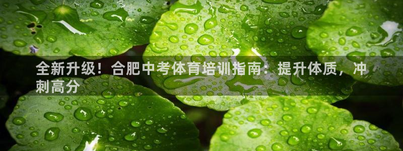 欧陆娱乐欢迎访问：全新升级！合肥中考体育培训指南：提